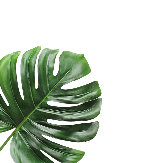 left-leaf