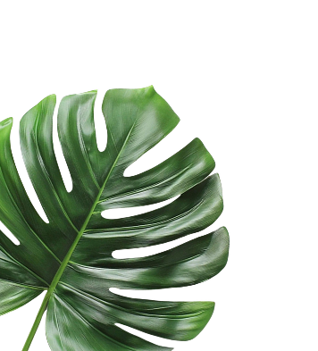 leaf-left