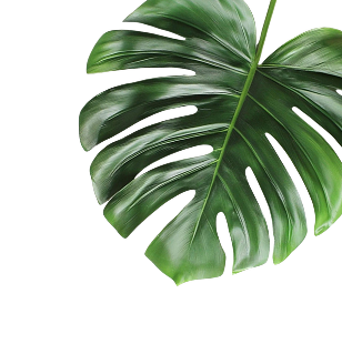 leaf-right