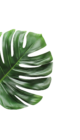 left-leaf