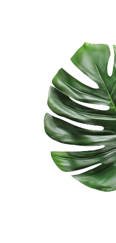 right-leaf