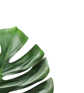 left-leaf
