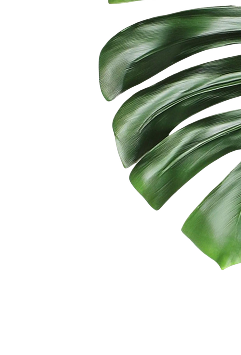 right-leaf